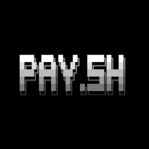 A pixelated Pay.sh logo on a black background