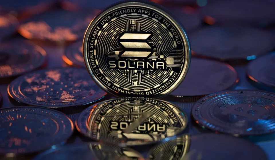South Korea Makes First DEX Rug Pull Arrest in Catfi Case