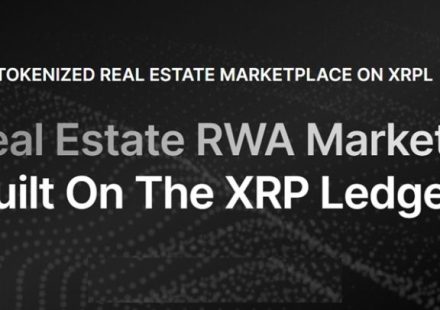 As Hyperliquid Price Consolidates, Whales Are Moving To SurgeXRP, An XRP-Based Real Estate Tokenization Platform