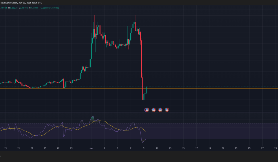 Humanity Protocol H Token Crashes 90% Following $31 Million Key Compromise