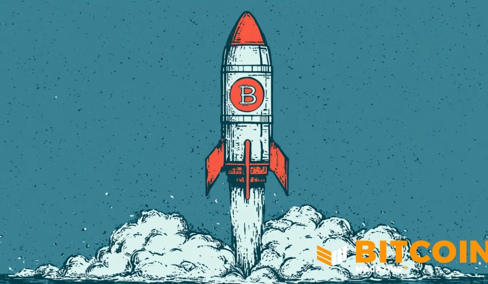 Public Companies Added 43,557 BTC in May as SpaceX Enters Bitcoin Treasury Race