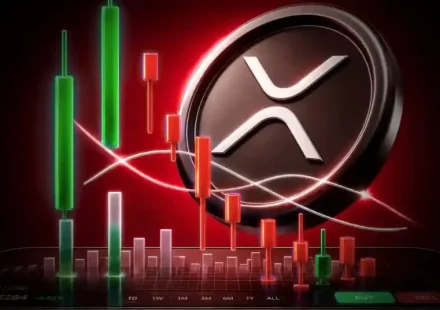 XRP Price Nears Capitulation Zone as Whale Accumulation Builds